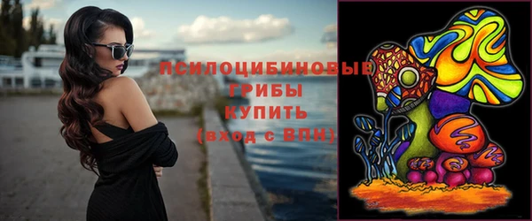 винт Дмитров