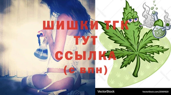 винт Дмитров