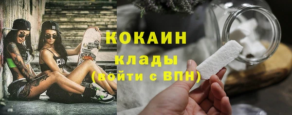 винт Дмитров